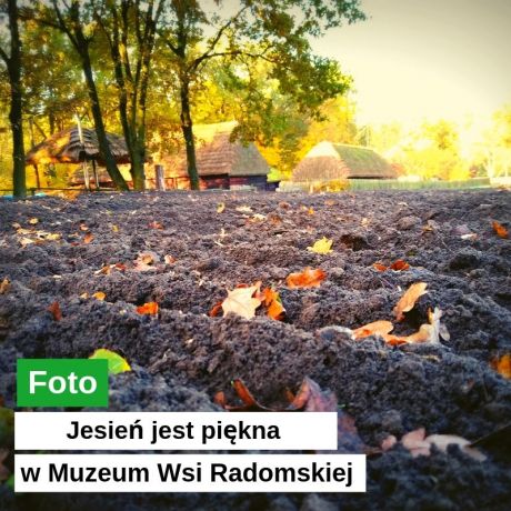 Jesień jest piękna w Muzeum Wsi Radomskiej