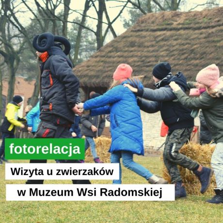 Cwałem! prędko do zagrody.