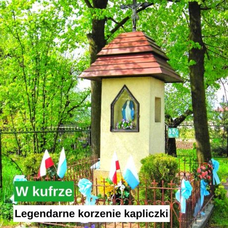 Legendarne korzenie kapliczki ze zbiegu ulic Słowackiego i Banacha w Radomiu

