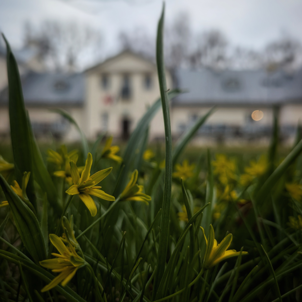 Sezon letni - nowe godziny otwarcia Muzeum Kolberga