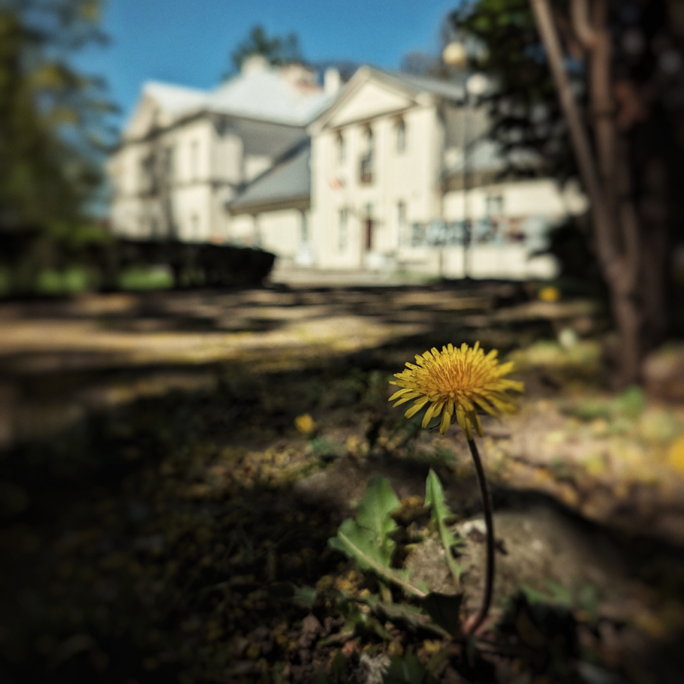 Maj pełen wydarzeń w Muzeum Kolberga