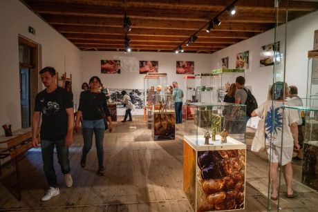 Układy Lata po raz trzeci. Garncarstwo, muzyka i taniec w Muzeum Wsi Radomskiej (32)