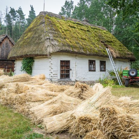 Trwa wymiana strzechy na chałupie z Kłonówka – zagroda czasowo zamknięta dla zwiedzających