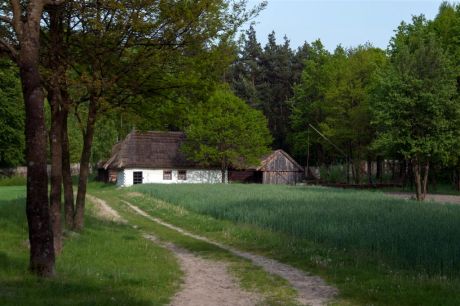 Nordic Walking w Muzeum Wsi Radomskiej